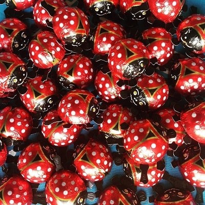 LADY BUGS (mariquitas) 8 gr x 62 und.